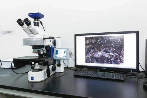 永鋼 硬核實力的背后——獲江蘇省省長質(zhì)量獎的汽輪機研發(fā)與銷售之道